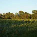 Relaxing Nature Retreat On Bornholm * Vester Somarken