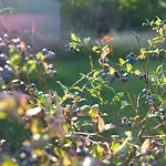 Relaxing Nature Retreat On Bornholm Casa vacanze