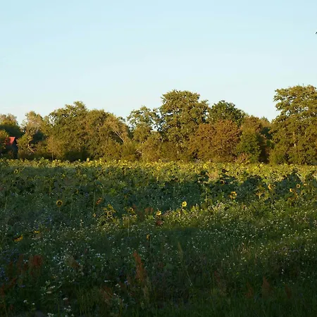 Relaxing Nature Retreat On Bornholm * Vester Somarken