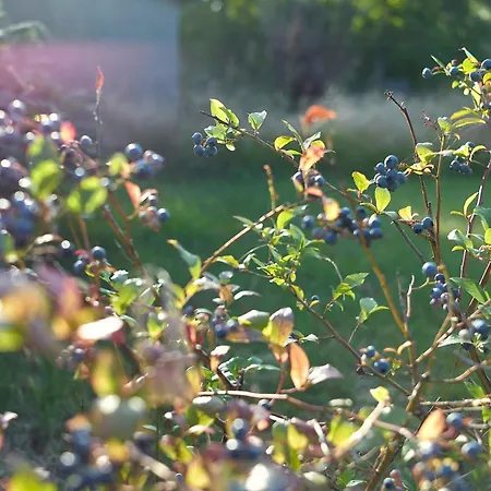 Relaxing Nature Retreat On Bornholm בית נופש