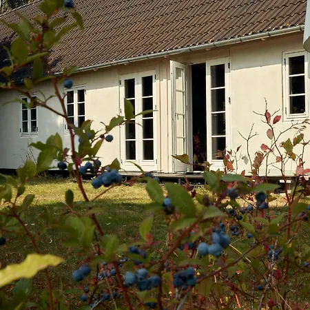 Casa vacanze Relaxing Nature Retreat On Bornholm Vester Somarken