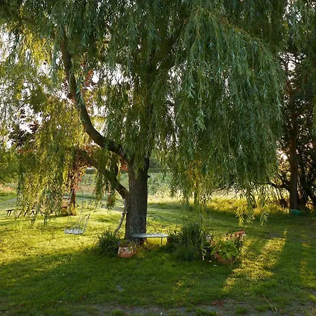 Relaxing Nature Retreat On Bornholm Casa vacanze